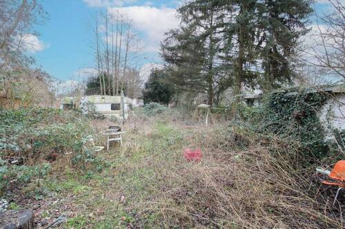 Linkes Grundstück (1) - 