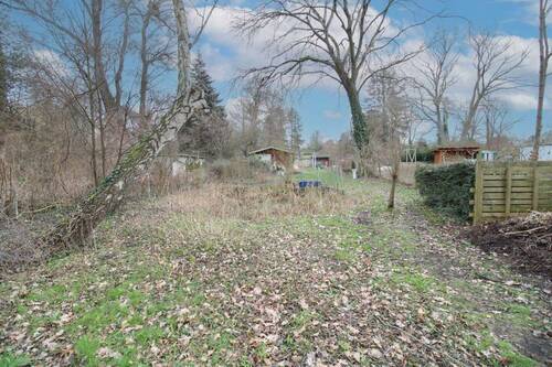 Grundstück Vorderseite (1) - 