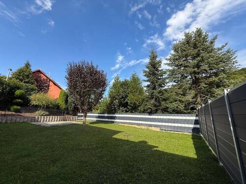 Blick in den Garten - 