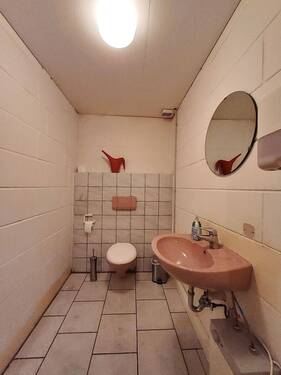 20250417_132555.jpg - 