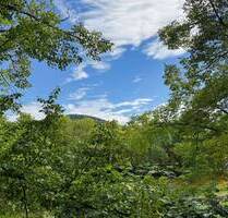 Lichtverwöhnte, urbane Stadtwohnung mit Süd-Balkon in beliebter Ahrlage von Bad Neuenahr! - Bad Neuenahr-Ahrweiler