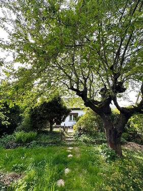 Garten - Traumlage in Markkleeberg-Zöbigker: Haus mit großem Grundstück und Charakter