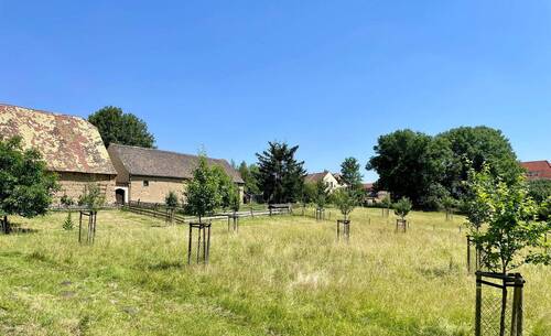 Schafswiese - 