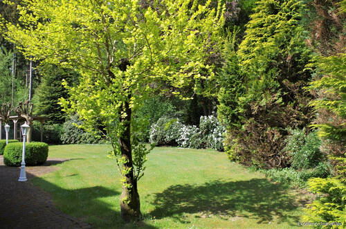 Hinter dem Haus - 