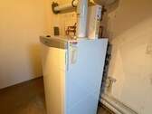 IMG_1564.jpeg - 