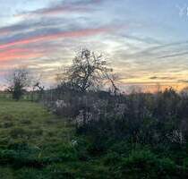 Sonnenuntergänge inklusive: Traumhaftes Randlage-Baugrundstück für DHH in Schweinheim - Aschaffenburg