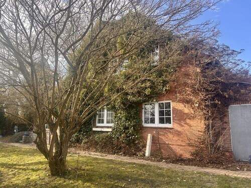 Südseite des Hauses - Wohnen im alten Garten - DHH mit Charme