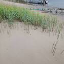 Strand - 