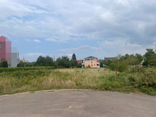 IMG_2828 - 