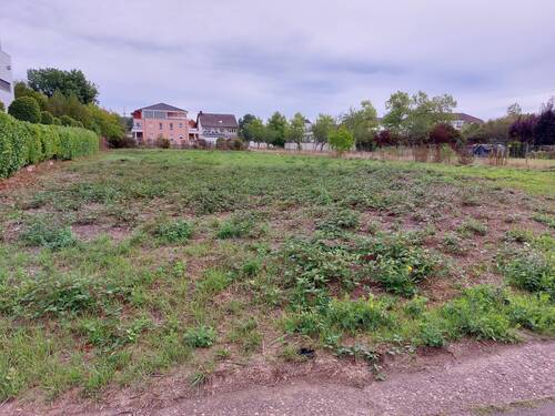 Bild 5 - 