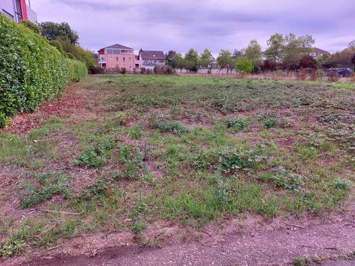 Bild 6 - 