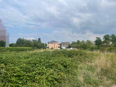 IMG_2845 - 