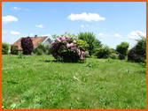 Garten mit Aussicht - 