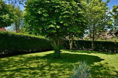 Gartenblick seitlich - Einfamilienhaus mit 144,60 m&sup2; in Wangerooge / Badestrand zum Kaufen