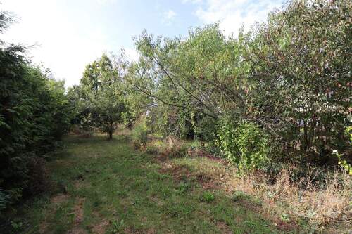 Garten - Reihenmittelhaus mit 120,00 m&sup2; in Güsten zum Kaufen