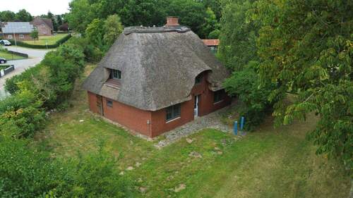 Außenansicht - 4 Zimmer Einfamilienhaus zum Kaufen in Almdorf
