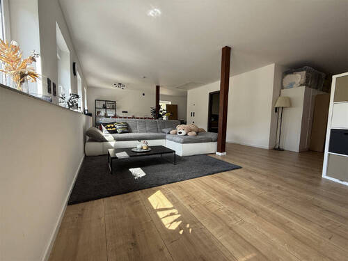 Studio DG - 