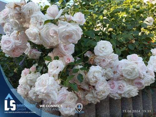 Garten - 