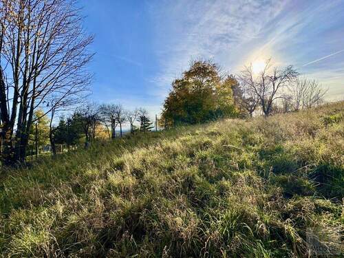 Weitläufiges Grundstück - 