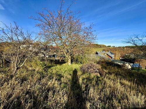 Weitläufiges Grundstück mit Blick zum Haus - 