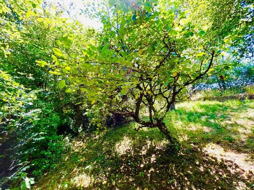 In Ihrem Garten gen Süden & Westen - Doppelhaushälfte mit 173,00 m&sup2; in Regensburg zum Kaufen