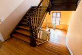 IMG_9012 - 