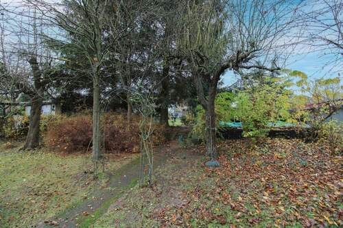 Hinteres Grundstück - 