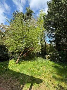 Garten - 