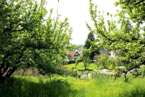 Ausblick ins Illertal - Grundstück mit Altbestand in HangWaldrandlage für Naturliebhaber in AltenstadtIller