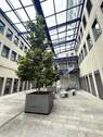 Innenhof Ansicht 2 - Büro zur Miete in Leipzig