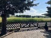 Blick aufs Feld - 