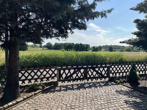 Blick aufs Feld - 