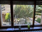 Blick in den Garten - 