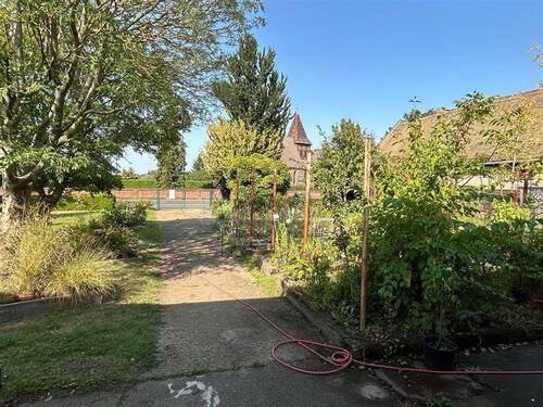 Blick zur Zufahrt Gartenteil - 