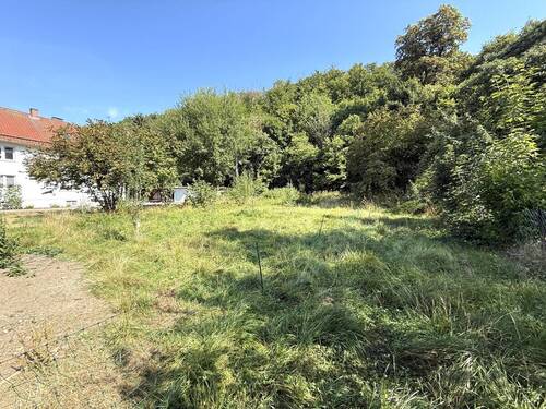 Garten - 