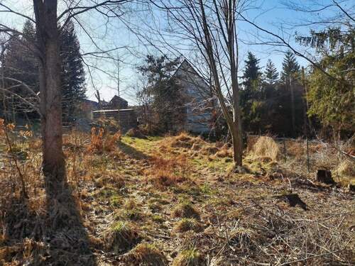 Grundstück - Grundstück in Olbersdorf zum Kaufen