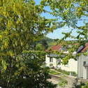Ausblick von der Terrasse - ZWEIFAMILIENHAUS MIT GROSSEM GRUNDSTÜCK :: RUHIGE HANGLAGE IN ESSINGEN