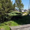 Ausblick - 
