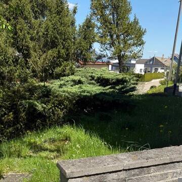 Ausblick - 