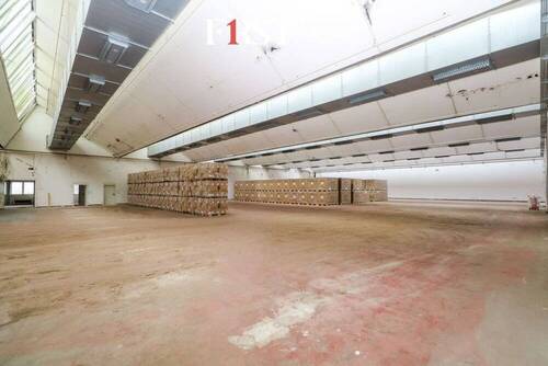 Halle-11_04 - 