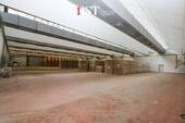 Halle-11_05 - 
