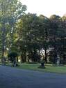 Schlosspark - 