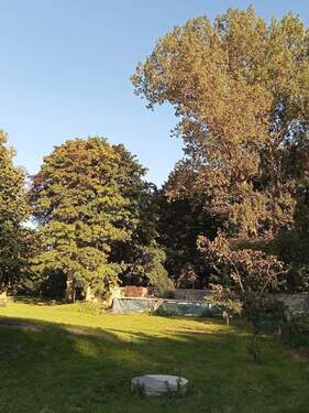 Park - 