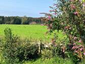 Blick vom Garten - 