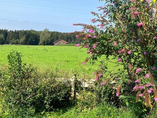 Blick vom Garten - 
