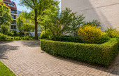 Hinterhof - 