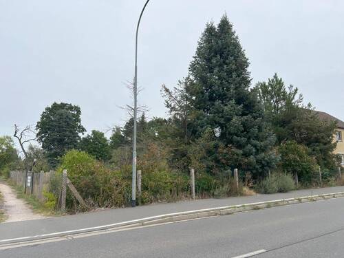 Grundstück Vorne - Grundstück zum Kaufen in Zahna-Elster