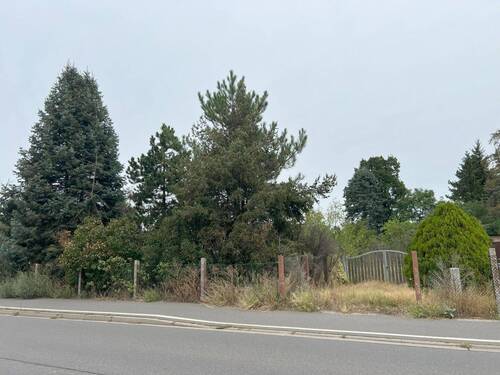 Grundstück Vorne Einfahrt - Grundstück in Zahna-Elster