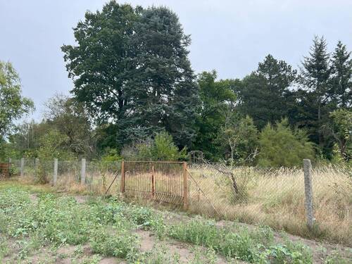 Grundstück Seite Einfahrt - 