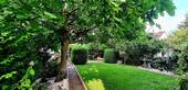 Garten Blick vom Haus - 